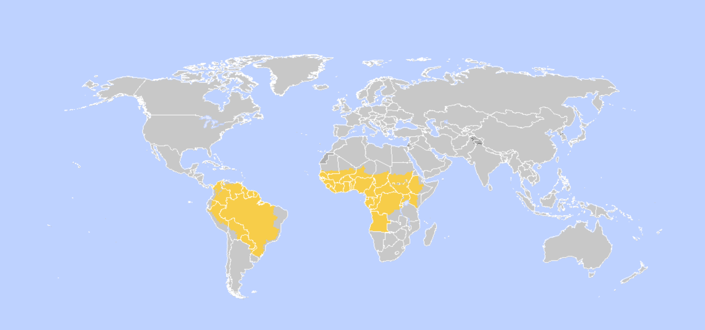 yellow fever